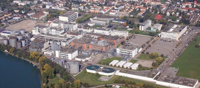 dsm-firmenich