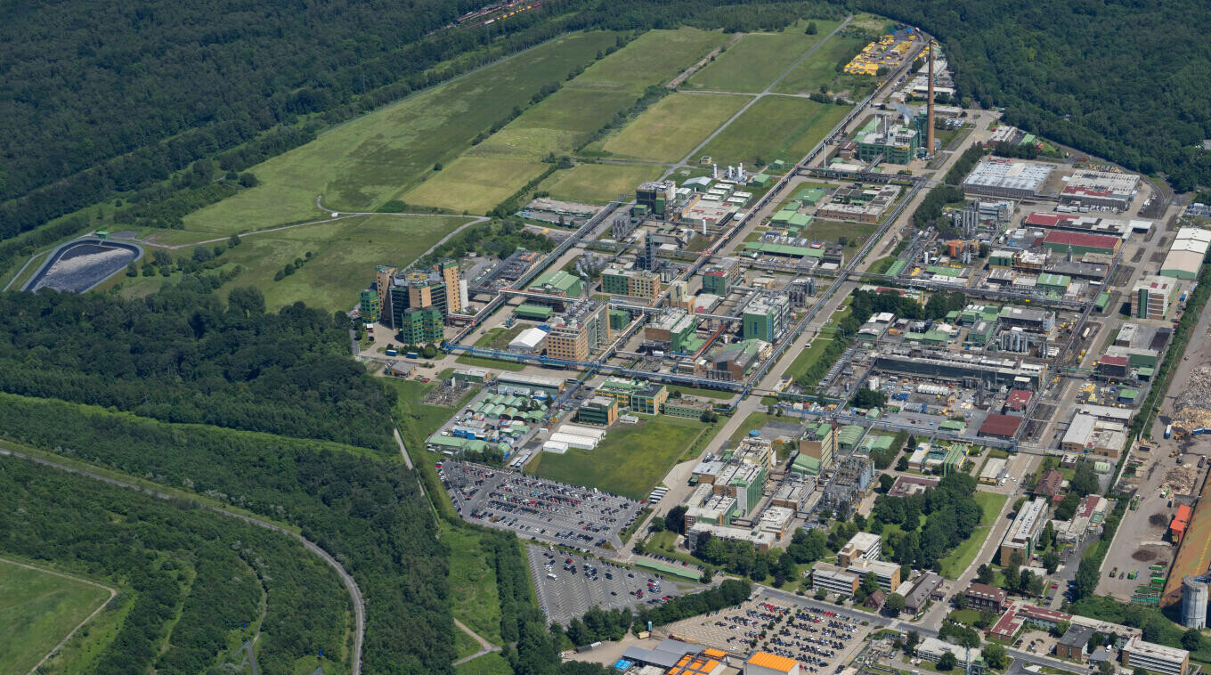 Bayer