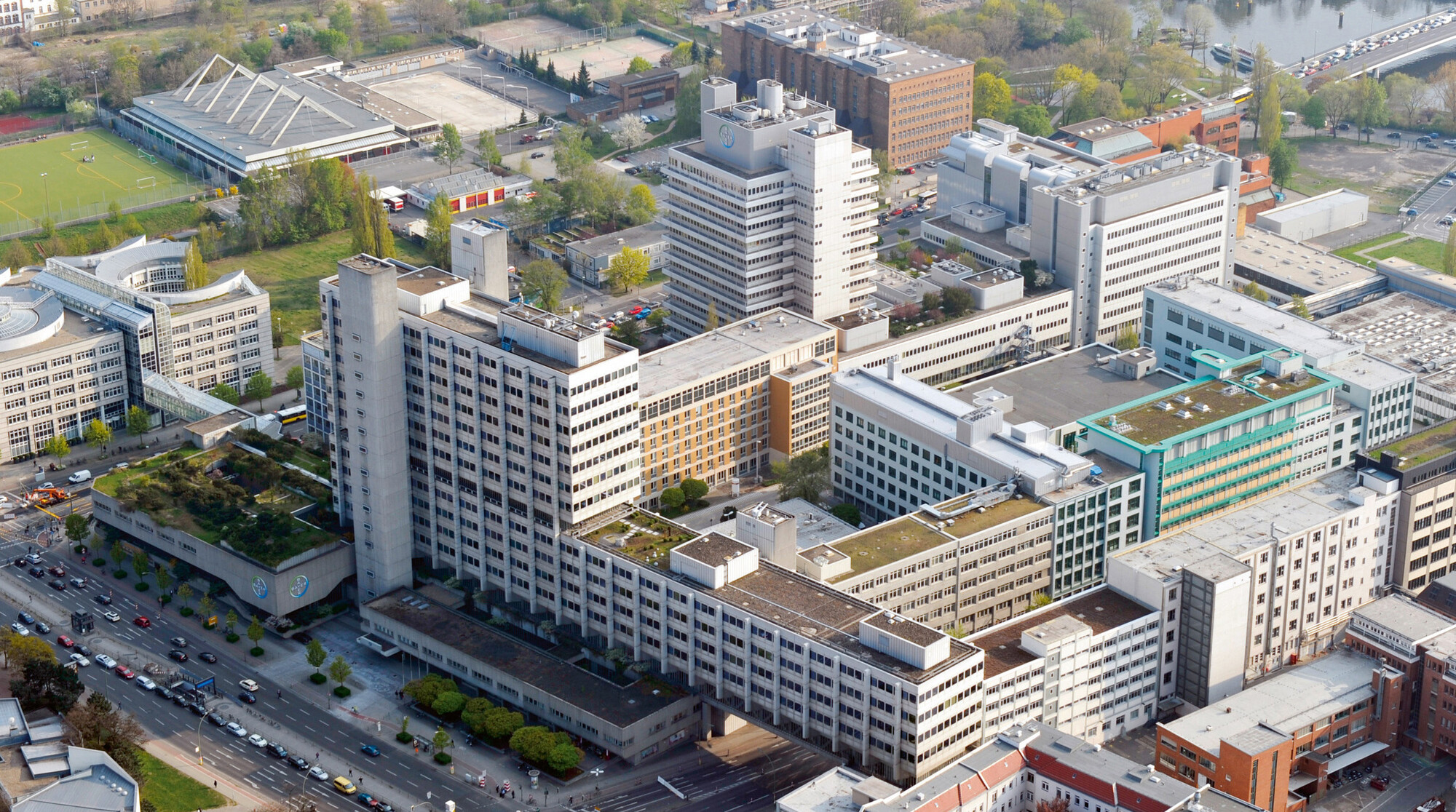 Bayer