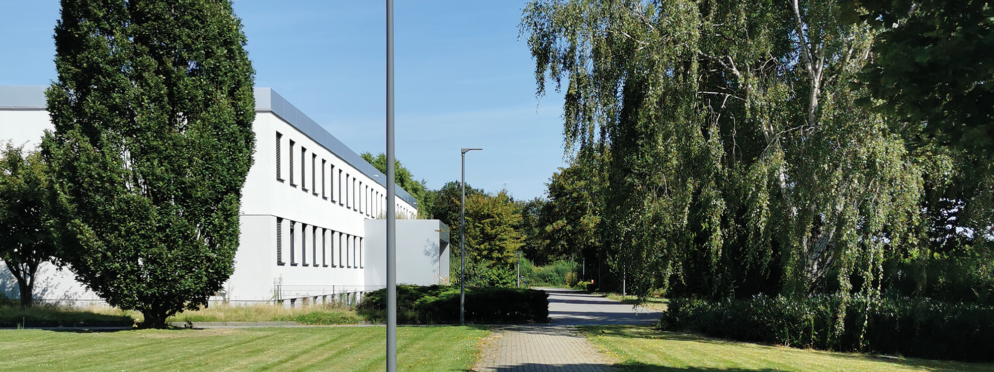 Trommsdorff